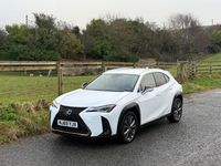 Used Lexus UX 250h Sport Line 2019 White SUV