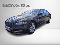 Used Jaguar XF R-Sport 163 HP (119 kW) 2018 Black Sedan