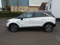 Used Vauxhall Crossland X Elite 130 HP (95 kW) 2018 White SUV