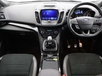 Used Ford Kuga ST-Line 150 HP (110 kW) 2019 Grey SUV