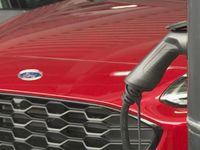 Used Ford Kuga ST-Line X 150 HP (110 kW) 2023 Frozen white (premium paint) SUV