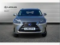 Used Lexus NX300h Luxury Line 194 HP (142 kW) 2016 Sonic titanium SUV