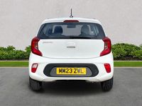 Used Kia Picanto 66 HP (48 kW) 2023 White Hatchback