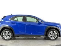 Used Lexus UX 150 kW (204 HP) 2024 Blue SUV