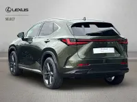 New Lexus NX350h 197 HP (144 kW) 2026 Terrane khaki Estate