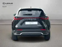 Used Lexus NX450h+ Sport Line 2023 Black SUV