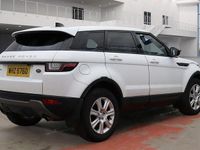 Used Land Rover Range Rover evoque SE 2019 White SUV