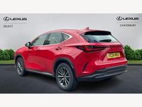 Used Lexus NX350h 2024 Red Estate