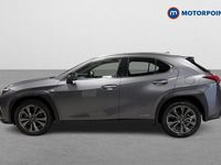 Used Lexus UX 250h Sport Line 2019 Grey SUV