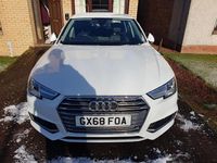 Used Audi A4 Sport 150 HP (110 kW) 2019 White Sedan