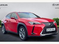 Used Lexus UX 150 kW (204 HP) 2025 SUV