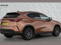 Used Lexus NX450h+ 304 HP (223 kW) 2024 Bronze SUV