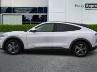 Used Ford Mustang Standard Range 269 HP (197 kW) 2022 Estate