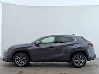 Used Lexus UX 250h Sport Design Packet 184 HP (135 kW) 2023 Grey SUV