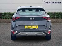 Used Kia Sportage 150 HP (110 kW) 2023 Grey SUV