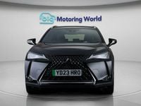 Used Lexus UX 150 kW (204 HP) 2022 SUV