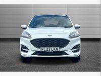 Used Ford Kuga ST-Line X 150 HP (110 kW) 2022 White SUV
