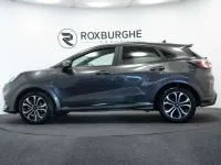 Used Ford Puma ST-Line 125 HP (91 kW) 2024 Grey SUV