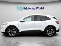 Used Ford Kuga Titanium 150 HP (110 kW) 2020 White SUV