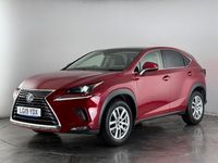 Used Lexus NX300h 2019 Red SUV