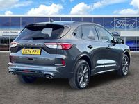 Used Ford Kuga ST-Line 2024 Grey SUV