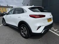 New Kia XCeed 113 HP (83 kW) 2026 White SUV