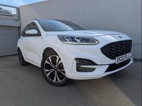 Used Ford Kuga ST-Line X 120 HP (88 kW) 2021 White SUV