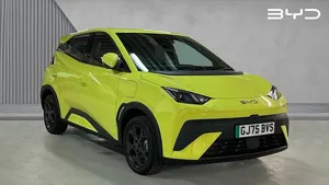 Usado BYD Dolphin Surf