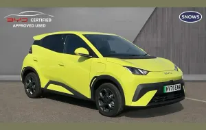 Usado BYD Dolphin Surf
