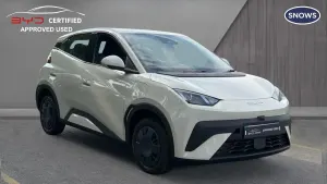 Usado BYD Dolphin Surf