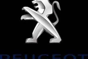 Begagnad Peugeot TePee
