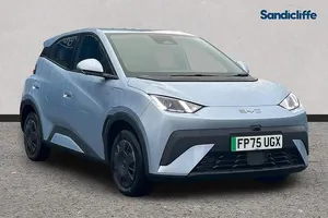 Usado BYD Dolphin Surf