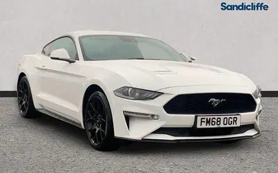 Usado Ford Mustang Fastback 310 HP (228 kW) 2019 Branco Coupé