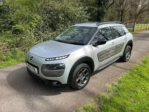 Usado Citroën C4 Cactus