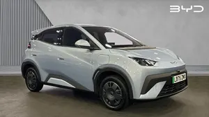 Usado BYD Dolphin Surf