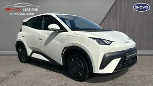 Usado BYD Dolphin Surf
