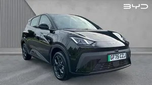 Usado BYD Dolphin Surf
