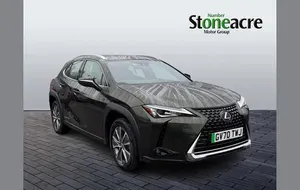 Usado Lexus UX 300e