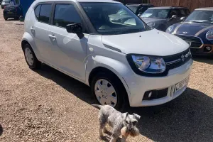 Usado Suzuki Ignis